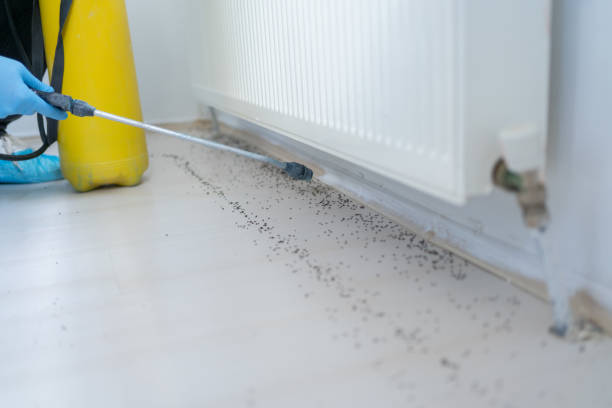 Best Emergency Pest Control  in Stewartstown, PA