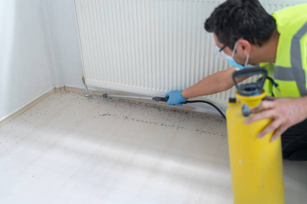Best Wasp Removal Services  in Stewartstown, PA